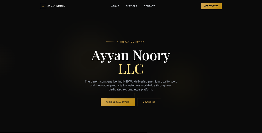 Ayyan Noory LLC